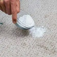 How to Remove Old Rust Stain from Carpet with Vinegar