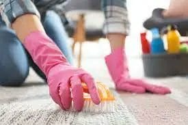  Scrubbing on Carpet 