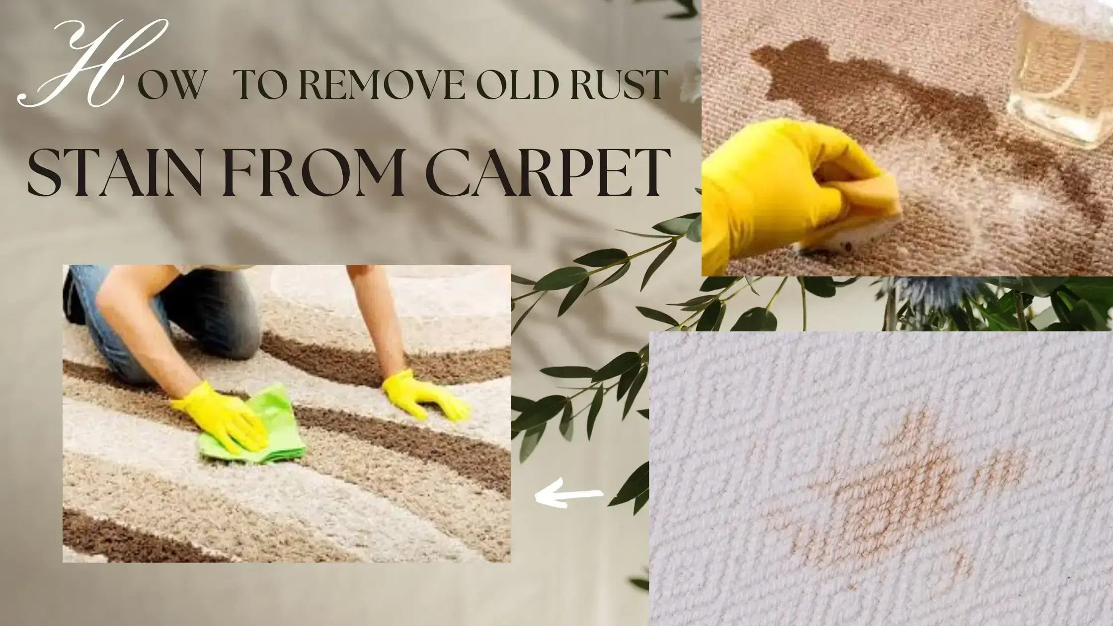 How to Remove Old Rust Stain from Carpet
