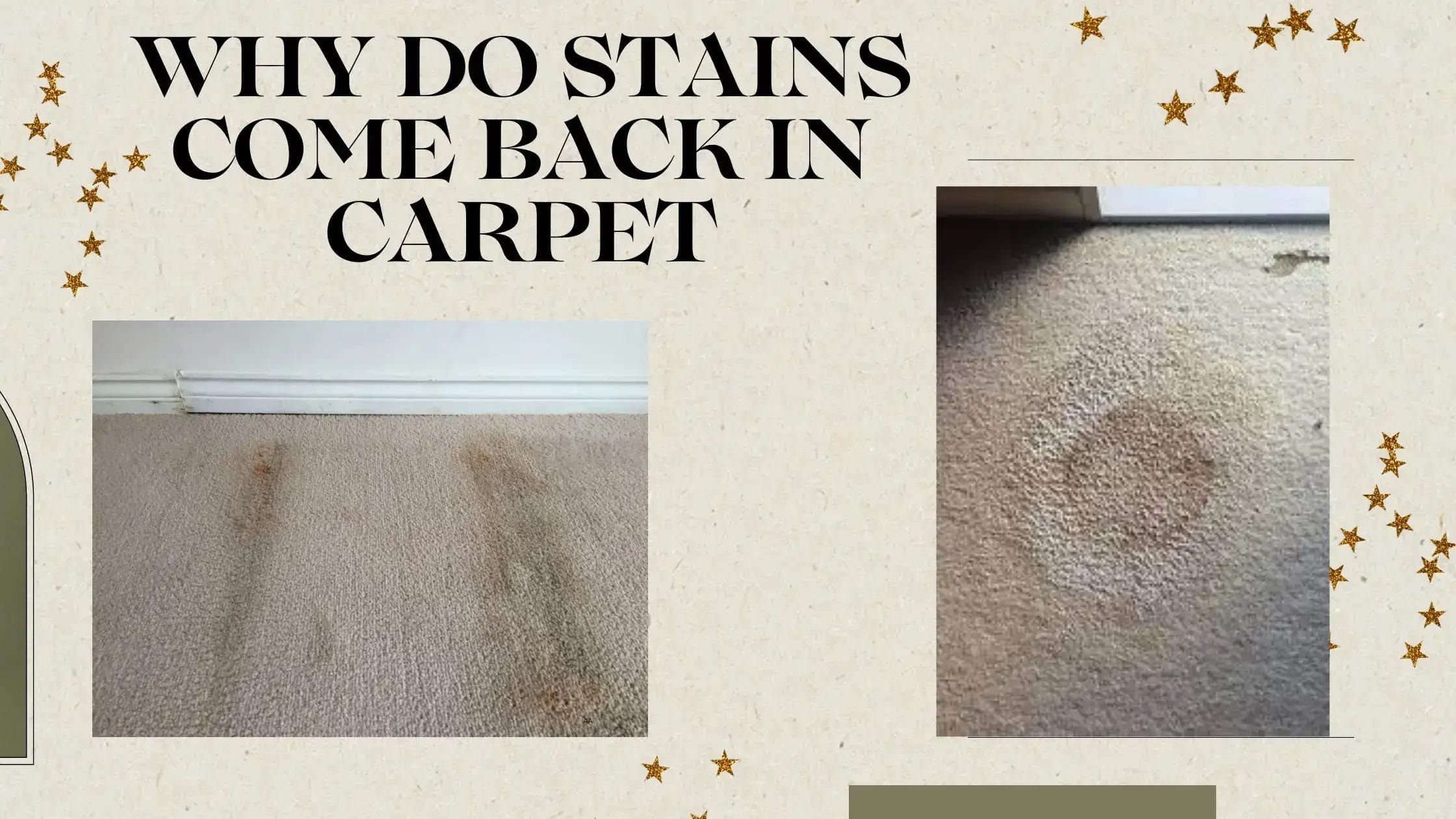 Why Do Stains Come Back in Carpet